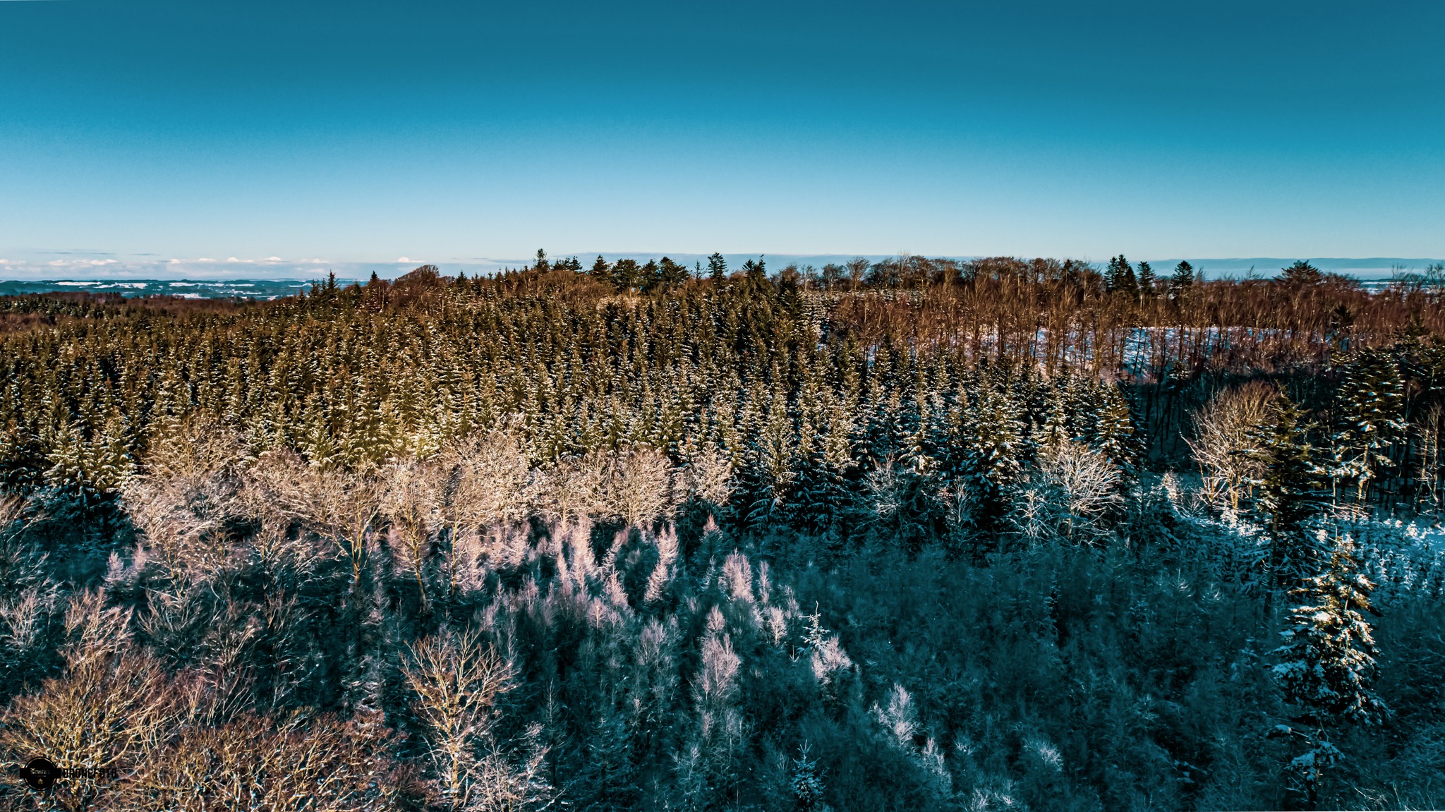 Dronninglund storskov 1