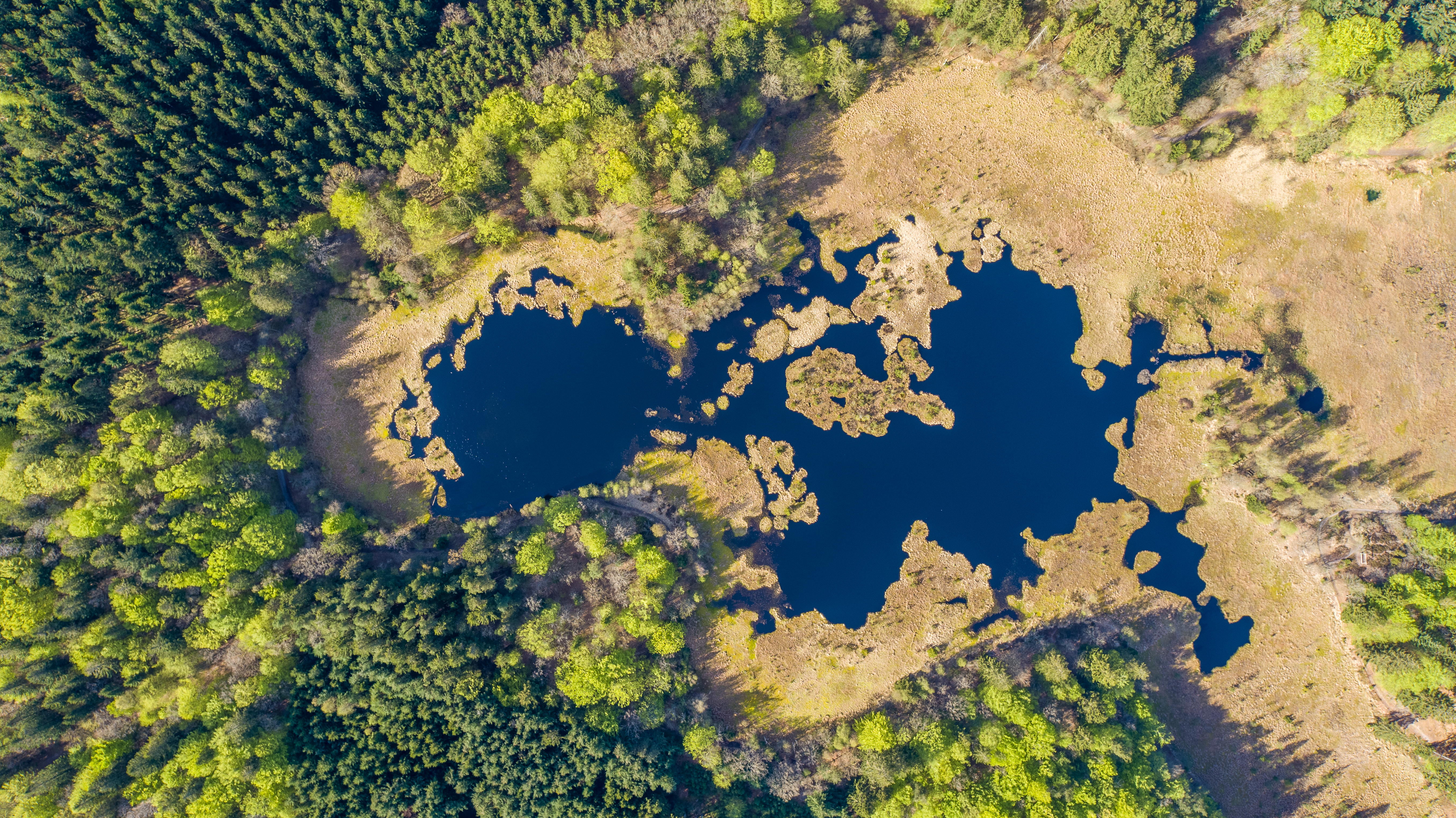Sømosen Dronninglund 1
